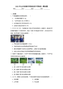 2023年山东省德州市临邑县中考物理二模试题（含解析）
