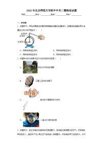 2023年北京师范大学附中中考三模物理试题（含解析）