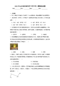 2023年山东省济南市历下区中考三模物理试题（含解析）