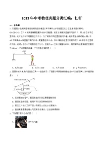 2023年中考物理真题分类汇编：杠杆专题及答案