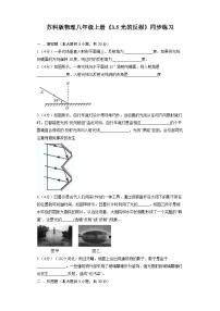 初中物理苏科版八年级上册3.5 光的反射课堂检测