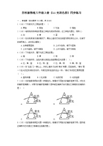 物理八年级上册3.1 光的色彩 颜色综合训练题