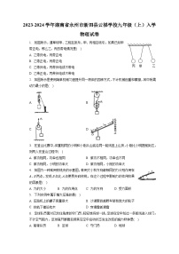 湖南省永州市新田县云梯学校2023-2024学年九年级上学期入学物理试卷