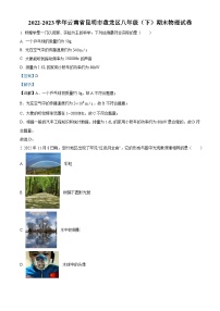 云南省昆明市盘龙区2022-2023学年八年级下学期期末物理试题（解析版）