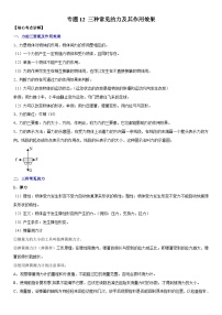 中考物理二轮专项复习核心考点突破与必刷题练习专题12 三种常见的力及其作用效果（含解析）