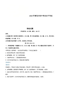 2020年山东省青岛市中考物理试题（含解析）