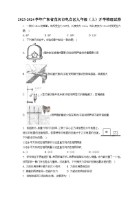 广东省茂名市电白区2023-2024学年九年级上学期开学物理试卷