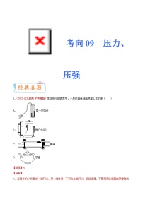 中考物理一轮复习考点专练专题09压力 压强（含解析）