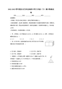 2022-2023学年重庆市万州区纯阳中学八年级（下）期中物理试卷（含解析）