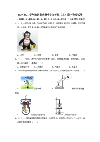 陕西省安康市初级中学2020-2021学年九年级上学期期中考试物理试卷+