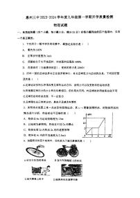 广东省惠州市第三中学2023-2024学年上学期九年级物理开学考试卷