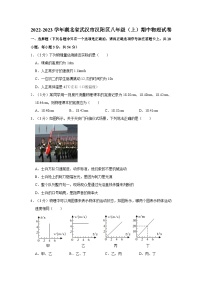 湖北省武汉市汉阳区2022-2023学年八年级上学期期中物理试卷