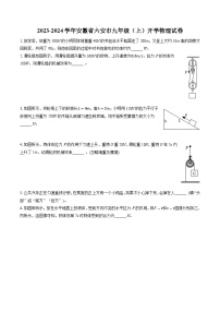 安徽省六安市2023-2024学年九年级上学期开学物理试卷