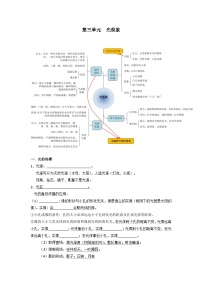 【期中单元考点讲义】（苏科版）2023-2024学年八年级物理上册 第三单元 光现象 单元讲义