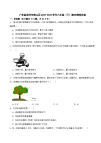 广东省深圳市南山区2022-2023学年八年级（下）期末物理试卷