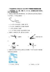 广东省深圳市八年级2022-2023学年下学期期末物理模拟试题