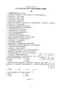 四川省成都市武侯区西川实验学校2023-2024学年九年级上学期10月月考物理试题