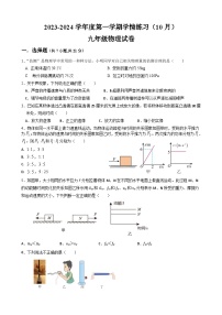 广东省茂名市高州市第一中学2023-2024学年九年级上学期10月月考物理试题