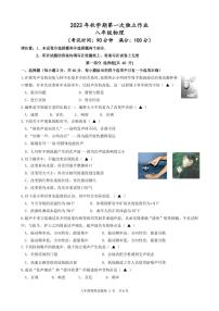 江苏省泰州市部分农村学校2023-2024学年八年级上学期10月月考物理试题