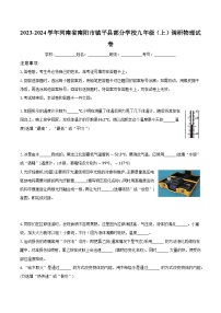 河南省南阳市镇平县部分学校2023-2024学年九年级上学期调研物理试卷 （月考）