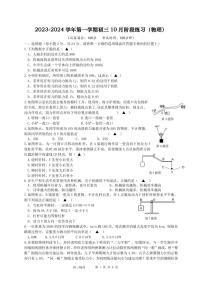 江苏省苏州工业园区青剑湖实验中学2023-2024学年九年级上学期10月阶段练习物理试题（月考）