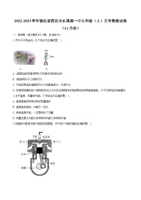 湖北省武汉市水果湖一中2022-2023学年九年级上学期月考物理试卷（11月份）