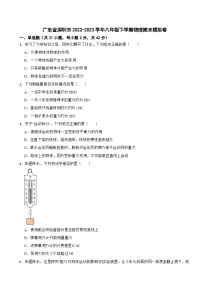 广东省深圳市2022-2023学年八年级下学期物理期末模拟卷