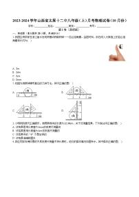 山西省太原市第十二中学校2023-2024学年八年级上学期月考物理试卷（月考）