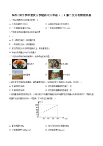 重庆大学城四中2021-2022学年八年级上学期第三次月考物理试卷