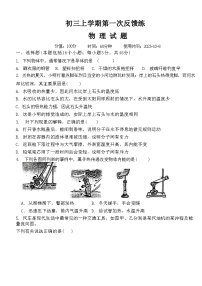 山东省聊城市文轩教育集团2023-2024学年九年级上学期10月月考物理试题