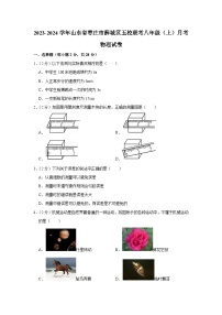 山东省枣庄市薛城区五校联考2023-2024学年八年级上学期月考物理试卷