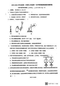 广东省佛山市南海区桂城街道灯湖初级中学2023-2024学年九年级上学期10月月考物理试题