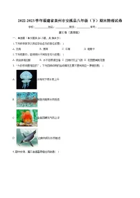 福建省泉州市安溪县2022-2023学年八年级下学期6月期末物理试题