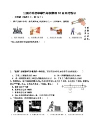 江苏省江阴市陆桥中学2023-2024学年九年级上学期10月限时作业物理试卷（月考）