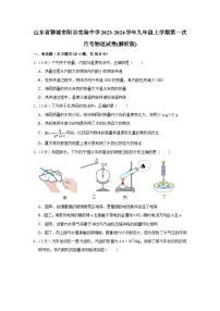 山东省聊城市阳谷实验中学2023-2024学年九年级上学期第一次月考物理试卷