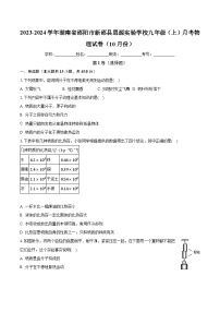 湖南省邵阳市新邵县思源实验学校2023-2024学年九年级上学期10月月考物理试题