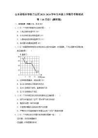 山东省临沂市临兰山区2023-2024学年九年级上学期月考物理试卷（10月份）