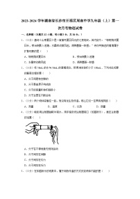 湖南省长沙市周南中学2023-2024学年九年级上学期第一次月考物理试卷