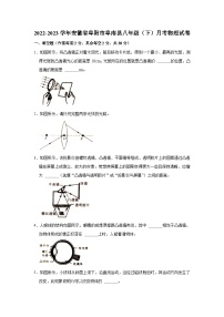 安徽省阜阳市阜南县2022-2023学年八年级下学期月考物理试卷