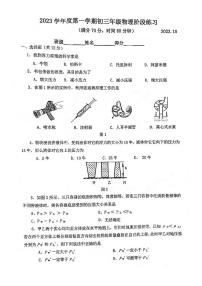 上海外国语大学附属大境初级中学2023-2024学年九年级上学期物理阶段练习（10月月考）