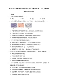 湖北省武汉市武昌区七校2023-2024学年九年级上学期月考物理试卷