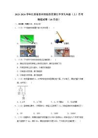 江苏省苏州市姑苏区胥江实验中学校2023-2024学年九年级上学期月考物理试卷（10月份）