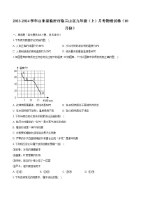 2023-2024学年山东省临沂市临兰山区九年级（上）月考物理试卷（10月份）（含解析）