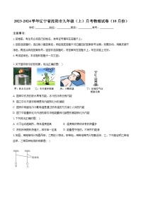 2023-2024学年辽宁省沈阳市九年级（上）月考物理试卷（10月份）（含解析）