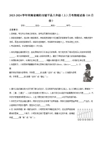 2023-2024学年河南省南阳市镇平县八年级（上）月考物理试卷（10月份）（含解析）