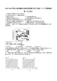 2023-2024学年山东省德州市临邑县邢侗中学八年级（上）月考物理试卷（10月份）（含解析）