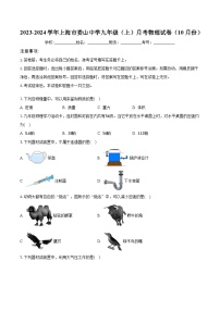 2023-2024学年上海市娄山中学九年级（上）月考物理试卷（10月份）（含解析）