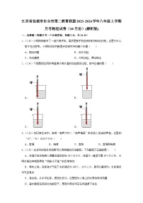 江苏省盐城市东台市第二教育联盟2023-2024学年八年级上学期月考物理试卷（10月份）