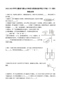 2022-2023学年安徽省马鞍山市和县刘禹锡实验学校八年级（下）期末物理试卷（含答案解析）