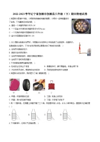 2022-2023学年辽宁省抚顺市抚顺县八年级（下）期末物理试卷（含答案解析）